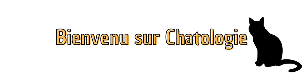 Image d'accueil pour Chatologie